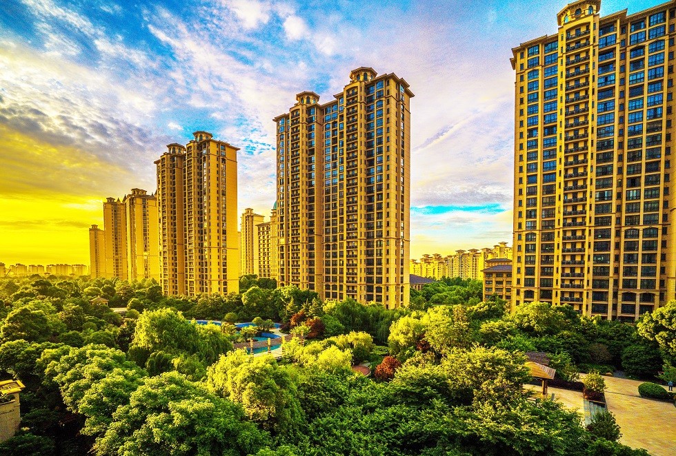 1592275661540577.jpg 05.jpg